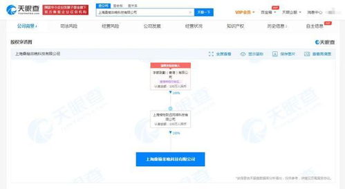 上海軟件代理與開發(fā) 企業(yè)數(shù)字化轉型的雙引擎